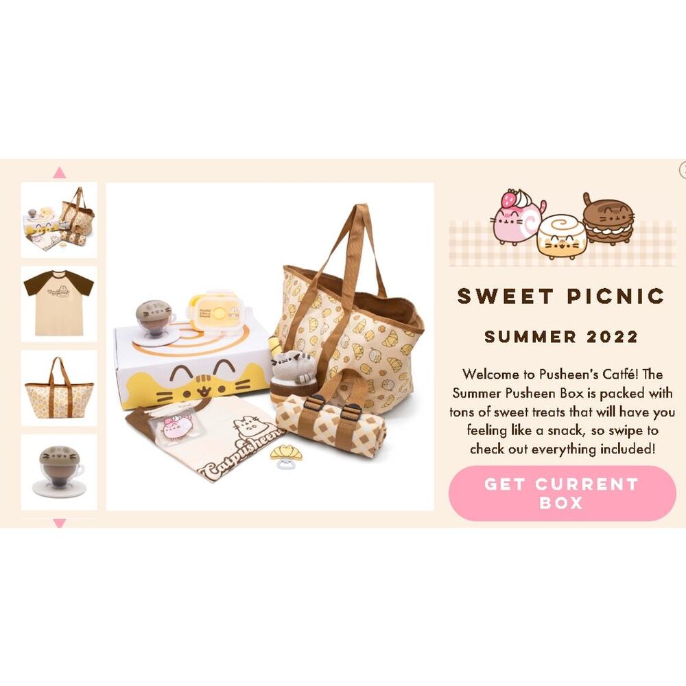 SEALED Summer 2022 Pusheen Sweet Picnic